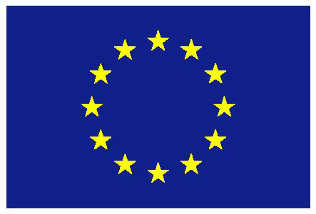 EU flag - EU Russia cooperation - bioliquids application in CHP plants